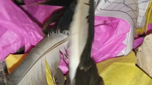 Ритуал - онлайн На лёгкую и красивую жизнь на пламя на Ореховый Спас. К Богам богатства. смотреть онлайн