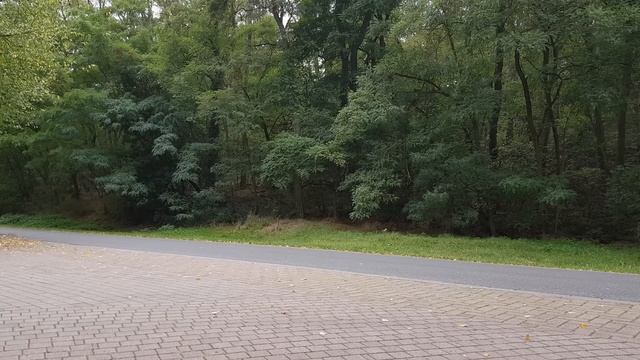 2023 BMW M3 Competition Touring | V-MAX, 0-100, 100-200, 200-250 km/h. Prezentacja +AUTOBAHN смотреть онлайн