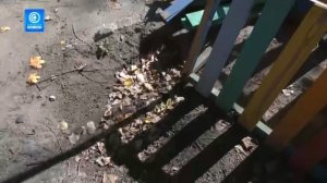 Московские строители восстанавливают детский сад в Донецке, куда прилетели «Грады» противника