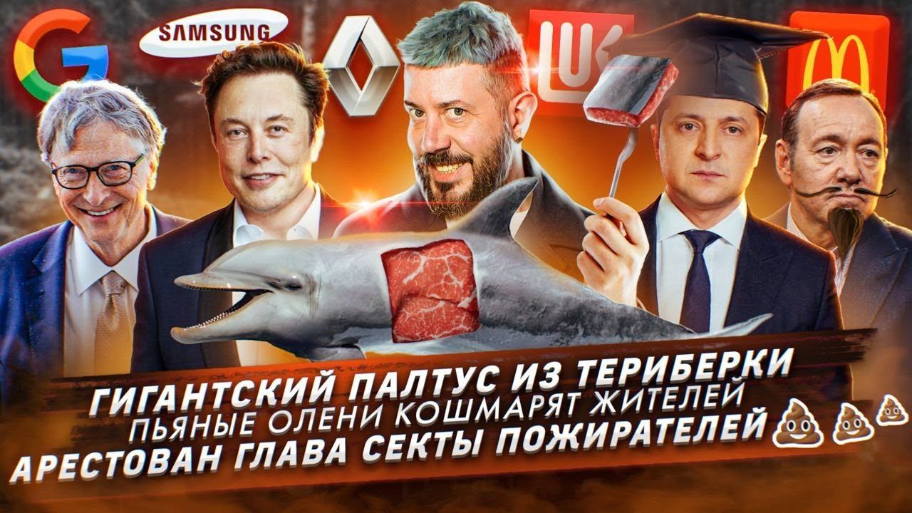 Гигантский палтус / Пьяные олени кошмарят жителей / Арестован глава секты пожирателей смотреть онлайн