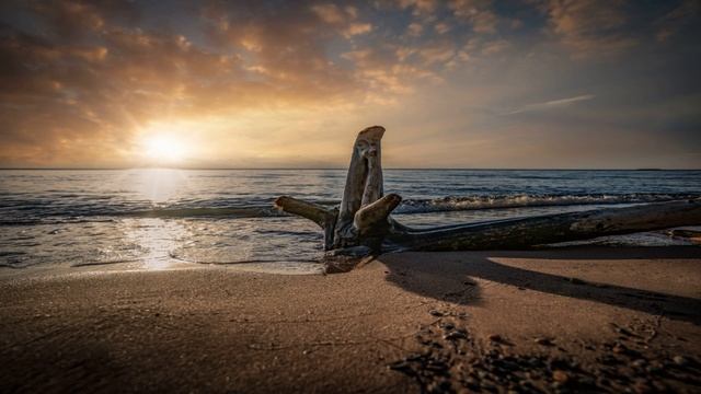 Jesse Gallagher | Mer-Ka-Ba 1 hour | Relax music 464 смотреть онлайн
