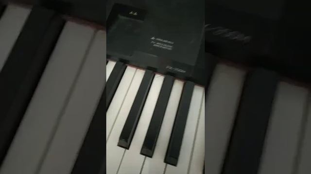 как выбрать цифровое пианино домой смотреть онлайн