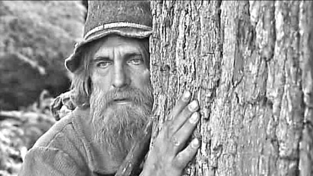 Буктрейлер по книге Руки матери смотреть онлайн