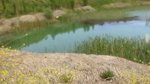 Путешествие на дно океана Тетис