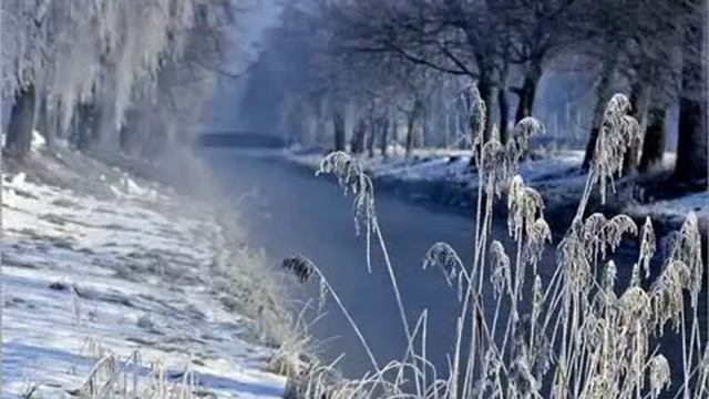 Подарок к Новому году смотреть онлайн
