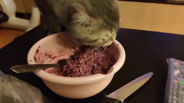 Кот Шума ест свеклу с чесноком о_О смотреть онлайн