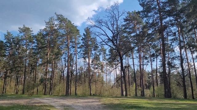 КУДА ИДЕШЬ?! Стих, с очень ГЛУБОКИМ смыслом! смотреть онлайн