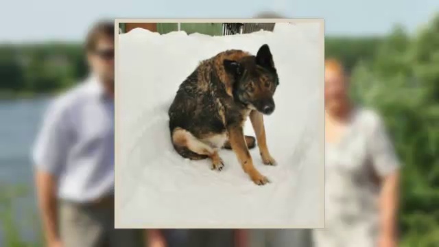 Квадратные фото. Видео из фото. смотреть онлайн