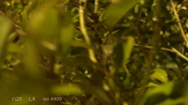 sony rx100m4 low light iso test 4K смотреть онлайн