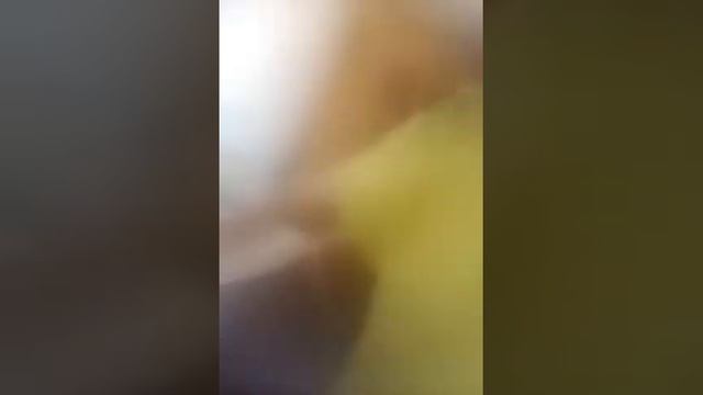 Про Дро Дро