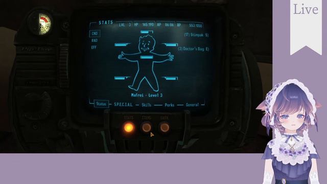 [Fallout New Vegas] To Primm and The Sheriff Solution | 02 смотреть онлайн