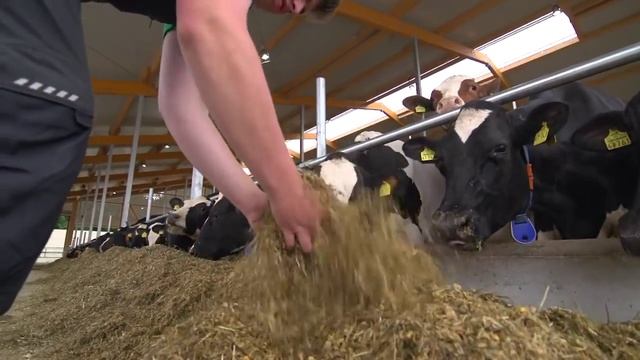 Strautmann Verti-Mix 3101 Double