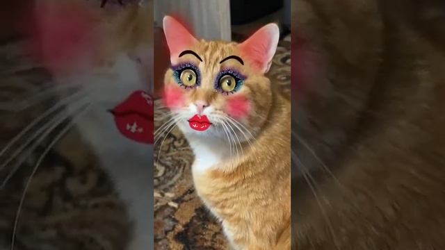 VID-20231104-WA0002.mp4 смотреть онлайн
