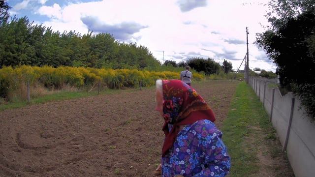 Горчица. Как сею я. смотреть онлайн