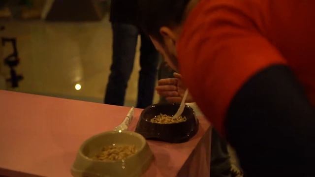 Форд Боярд Кишинев - Fort Boyard Chisinau ZIUA DE NAȘTERE JOCUL DE GRUP смотреть онлайн