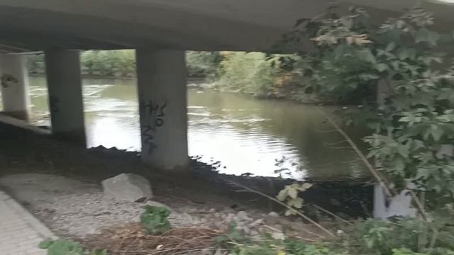 МЫ НАШЛИ ?ЭТО? НА ДНЕ ЗАБРОШЕННОЙ РЕКИ | НЕ КЛИКБЕЙТ смотреть онлайн