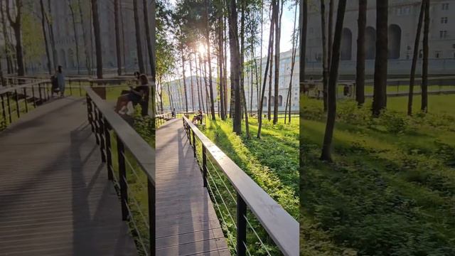 Риелтор Санкт-Петербург