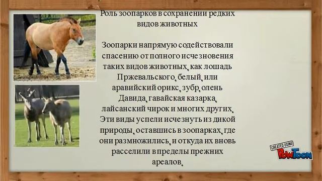 Современные методы охраны животного мира смотреть онлайн