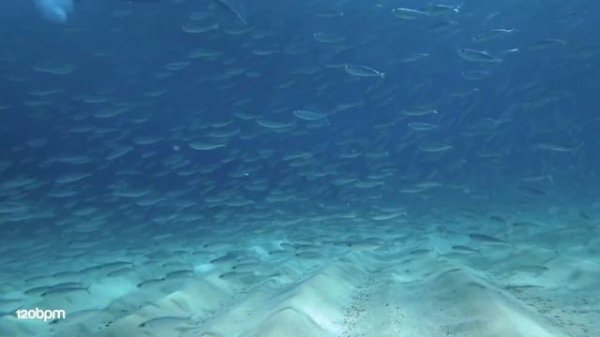 Anton Ishutin - Like a drum