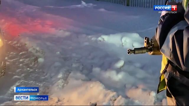 Рано утром в Архангельске полицейские застрелили волка смотреть онлайн