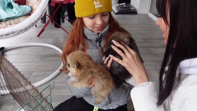 СБЫЛАСЬ МЕЧТА! ПОКУПАЕМ СОБАКУ! ВЛОГ смотреть онлайн