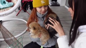 СБЫЛАСЬ МЕЧТА! ПОКУПАЕМ СОБАКУ! ВЛОГ