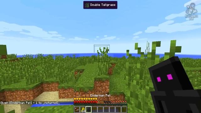 Noturno Explica Mods Minecraft - Inventory Pets Mod 1.7.10 (PT-BR) смотреть онлайн
