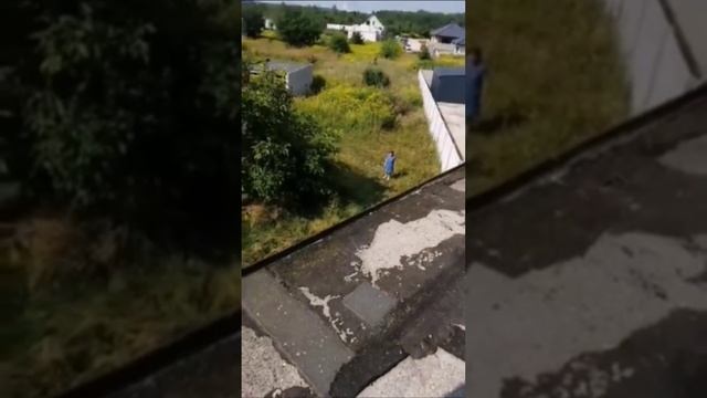 Братские народы. Польская бабуля смотреть онлайн