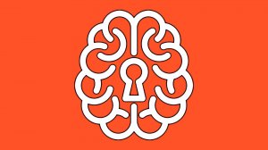 Мочеполовая система (анатомия)