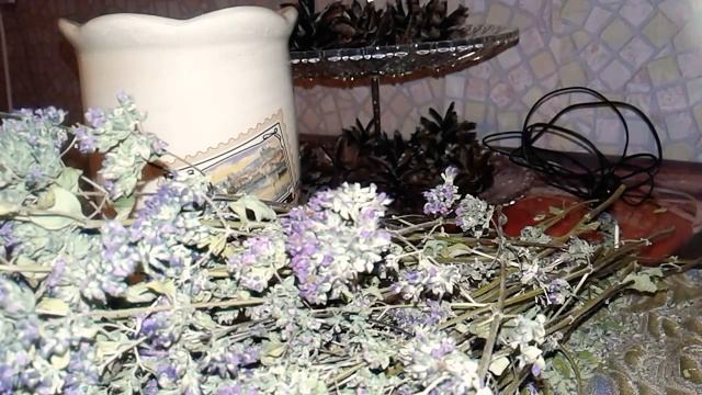 Душица! Народный лекарь!Чай с душицей! Орегано. смотреть онлайн