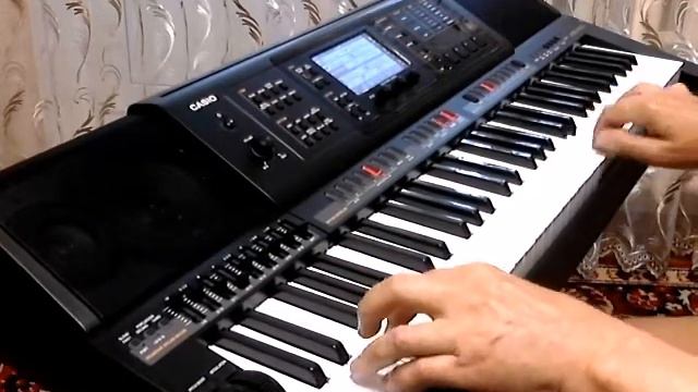 Casio MZ-X300  Зарисовка о Воронеже