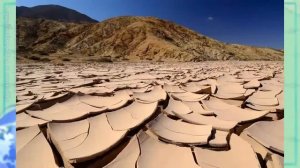 География 7 кл Кopинская §36 Природные зоны Южной Америки