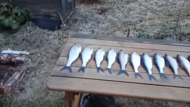 Первый улов. Рыбалка на Новоладожском канале. Апрель 2019 г смотреть онлайн