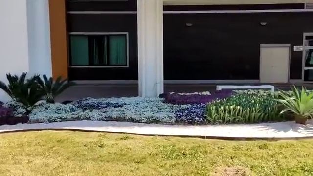 Анталия красивый ландшафтный дизайн административного здания 14.03.2022г смотреть онлайн