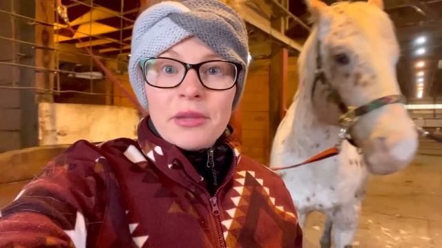 I DON’T KNOW WHAT TO DO…UPDATE ON MY APPALOOSA смотреть онлайн