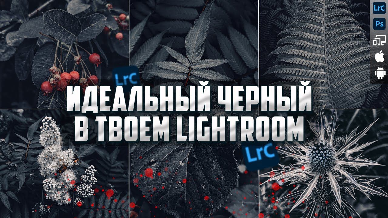 Идеальный черный / Обработка в Lightroom / RAW для урока смотреть онлайн