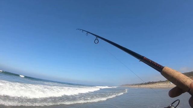 Perch Love… Gulp! sandworms - Surf Perch Fishing смотреть онлайн