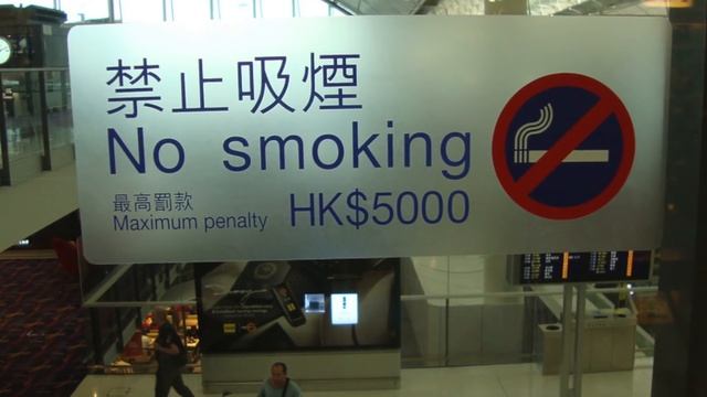 Crossing the Hong Kong Border in a Tesla смотреть онлайн