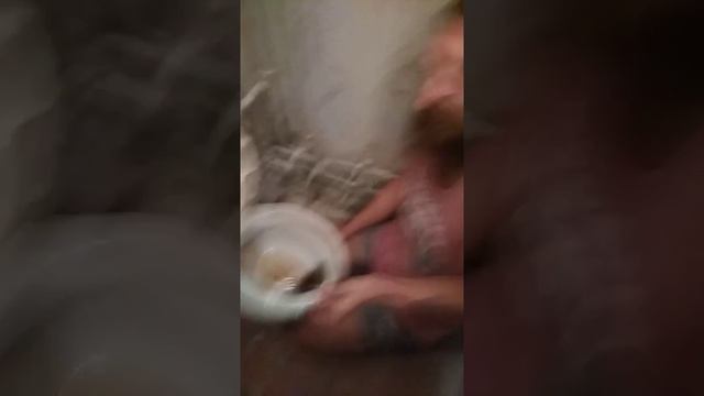 Вилкой чисти! смотреть онлайн