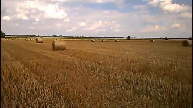 Прессованные рулоны из сена.Pressed bales of hay смотреть онлайн
