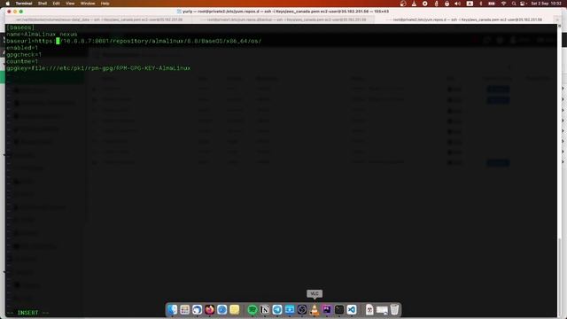 Sonatype nexus установка и подключение смотреть онлайн