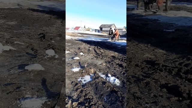 Воронок перевозит бревна. смотреть онлайн