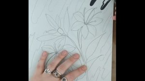 Средства выразительности графики линия и пятно