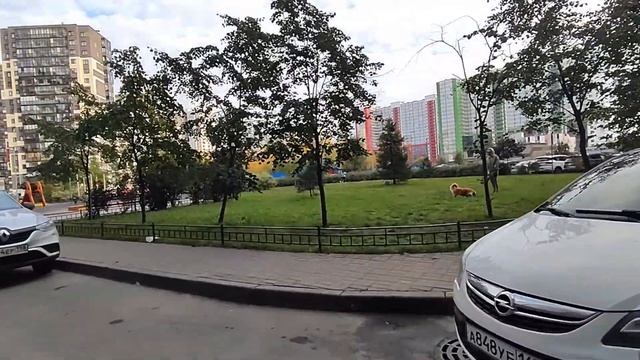 Квартира студия на продаже. Недвижимость в Кудрово. смотреть онлайн