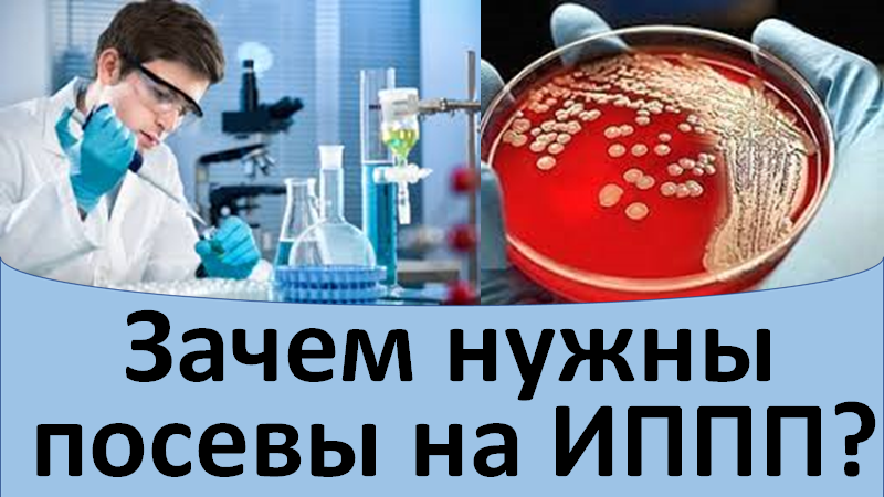 Зачем нужны посевы на ИППП смотреть онлайн