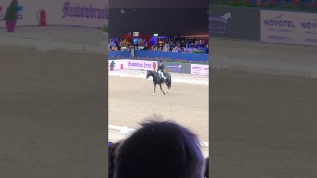 Edward Gal and Total Us freestyle jumping Amsterdam 2020 смотреть онлайн