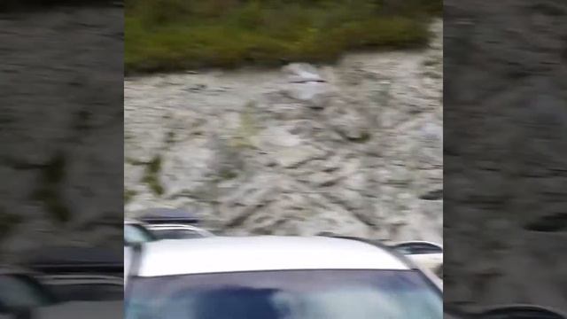 мотопутешествие на Алтай 2020 #yamaha #bajaj #nissanserena # отпуск2020 смотреть онлайн