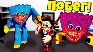 ТОЛЬКО ГЕНИЙ СМОЖЕТ ПРОЙТИ ВСЕ ИСПЫТАНИЯ И СБЕЖАТЬ ОТ ГОЛОВ ХАГИ ВАГИ И БОССА КИСИ МИСИ В РОБЛОКС !