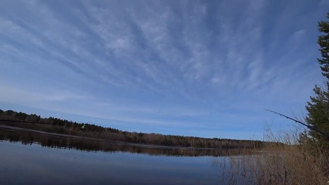 Первая рыбалка весной. Река Кубена. Ловля на фидер. смотреть онлайн