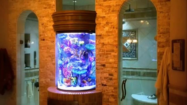 Аквариумы цилиндрические премиум класса. ТОП 20 . смотреть онлайн